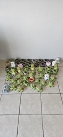 Cement Garden Ornament Mega Lot — Frog Planters, Animals & Fairy House