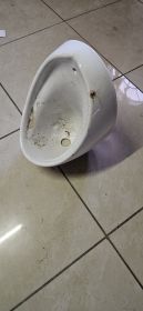 Betta Ceramic Wall-Hung Urinal