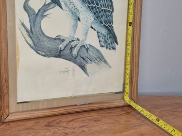 Framed Martial Eagle Print — Signed Greg Brett, Pine Frame