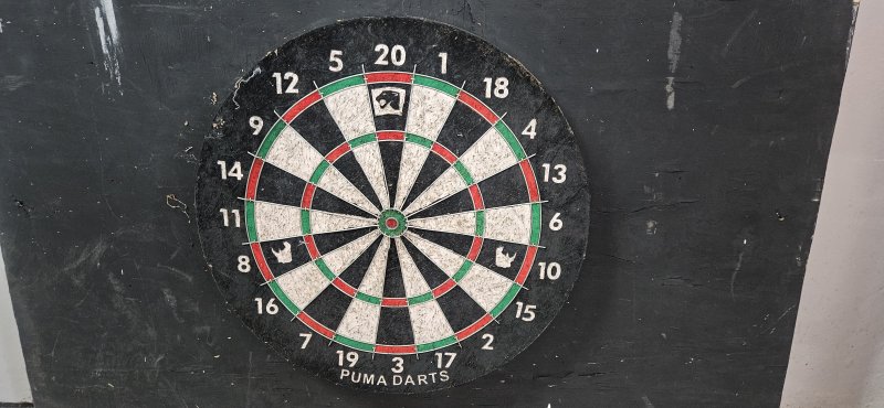 Puma Darts Bristle Dartboard mounted on Backboard