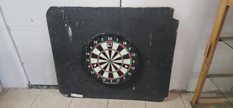 Puma Darts Bristle Dartboard mounted on Backboard