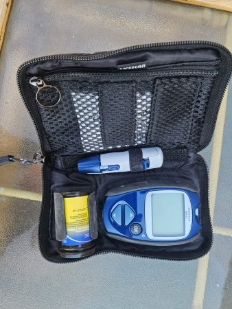 OneTouch Select Glucometer Kit — LifeScan Case, Lancet & Strips