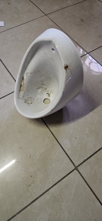 Betta Ceramic Wall-Hung Urinal