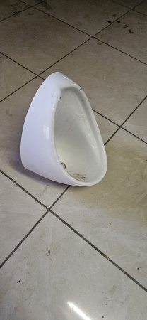 Betta Ceramic Wall-Hung Urinal