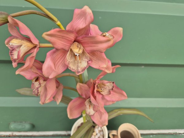 Ceramic Planter with Faux Pink Orchid + Stoneware Twin-Handle Vase