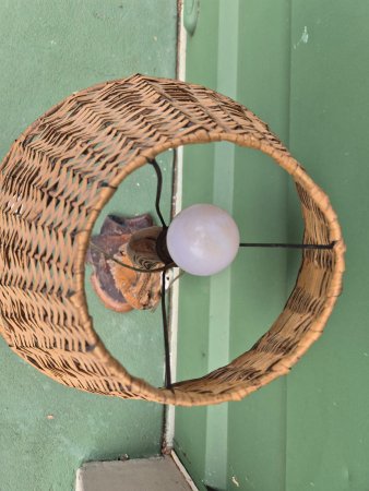 Driftwood Table Lamp with Woven Wicker Shade