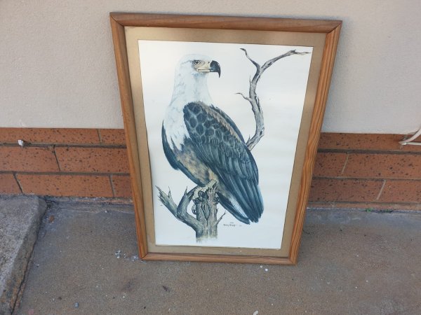 African Fish Eagle Painting — Signed Greg Brett, dated '77, Pine Frame