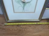 Framed Prictures - Image 3