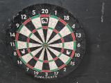 Puma Darts Bristle Dartboard mounted on Backboard - Image 2