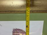 Set of 3 Framed Protea Botanical Drawings — Gold Frames, 54 × 45 cm - Image 3