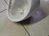 Betta Ceramic Wall-Hung Urinal - Image 3
