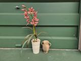 Ceramic Planter with Faux Pink Orchid + Stoneware Twin-Handle Vase - Image 1