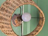 Driftwood Table Lamp with Woven Wicker Shade - Image 2