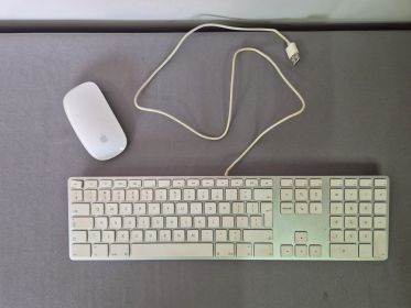 Apple Full-Size Wired Keyboard (A1243) + Apple Magic Mouse (Working)