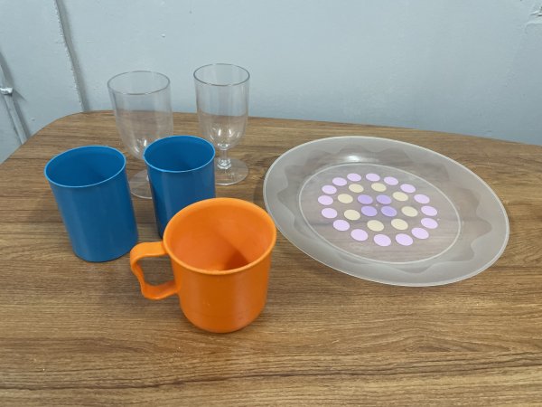Picnic Plate and Glasses