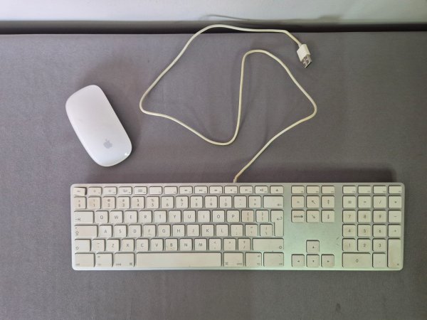 Apple Full-Size Wired Keyboard (A1243) + Apple Magic Mouse (Working)