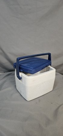 Small Colleman Cooler Box — Blue & White