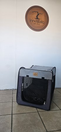 Soft-Sided Collapsible Pet Carrier / Travel Crate (Medium)