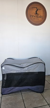 Soft-Sided Collapsible Pet Carrier / Travel Crate (Medium)