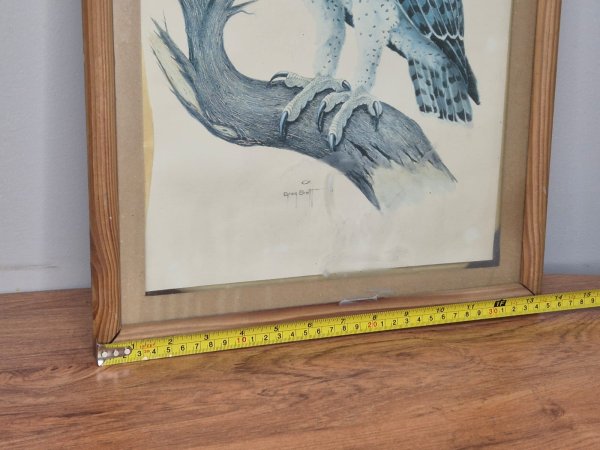 Framed Martial Eagle Print — Signed Greg Brett, Pine Frame