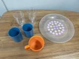 Picnic Plate and Glasses - Image 1