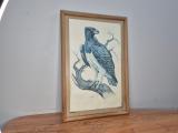 Framed Martial Eagle Print — Signed Greg Brett, Pine Frame - Image 3