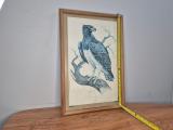 Framed Martial Eagle Print — Signed Greg Brett, Pine Frame - Image 5